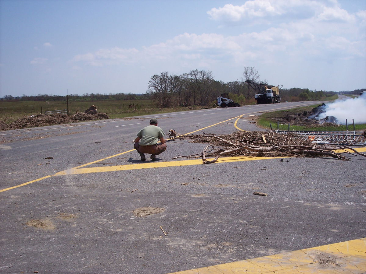 Dr. Neil Henderson rescuing a beagle on the highway